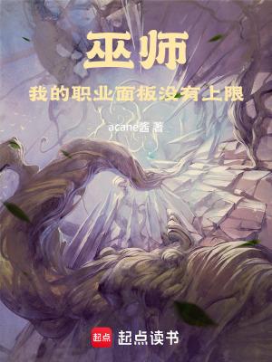 巫师我的职业面板没有上限碧趣阁